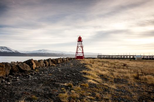 Private Arctic Coastline & Whale Watching — photo 2