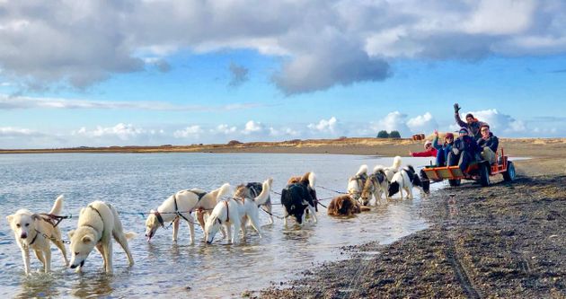 Dog Sledding Near Reykjavik — photo 11