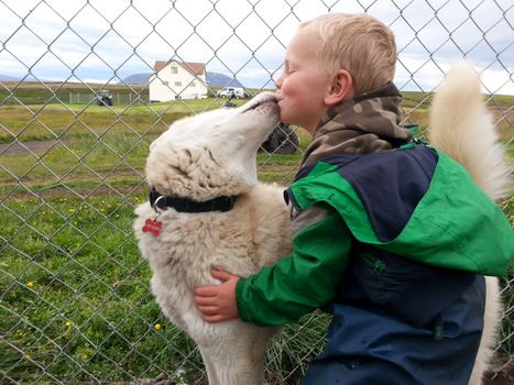 Siberian Husky Kennel Visit — photo 3