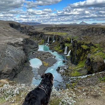 Landmannalaugar & Hekla Volcano Private Adventure — photo 8