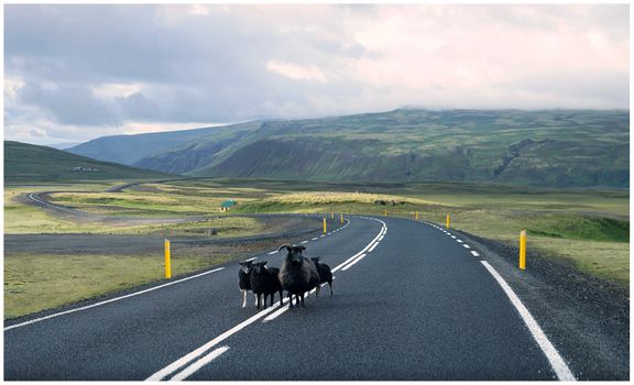 Iceland Solar Eclipse 2026 – Snæfellsnes Experience with Home-Cooked Dinner by Minibus — photo 12