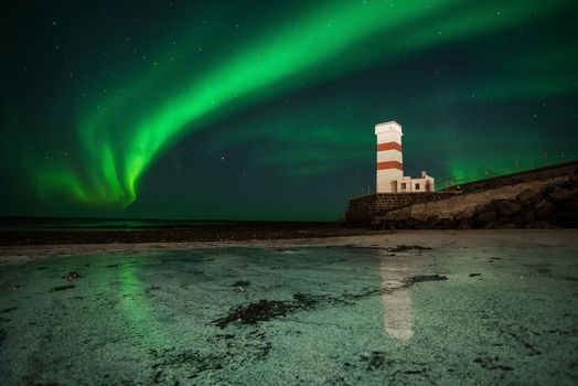 Northern Lights Experience — photo 10