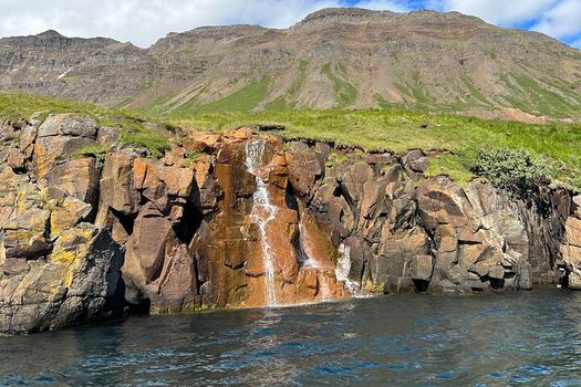 Viking Wildlife RIB Adventure — photo 20
