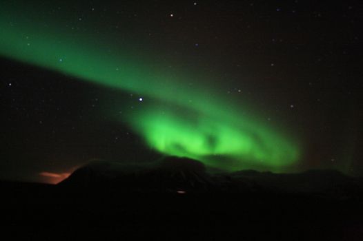 Northern Lights minibus: Hunting in the North — photo 4