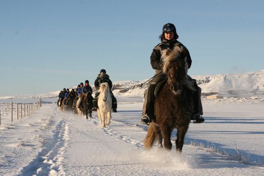 02B - The Siggi Tour — photo 9