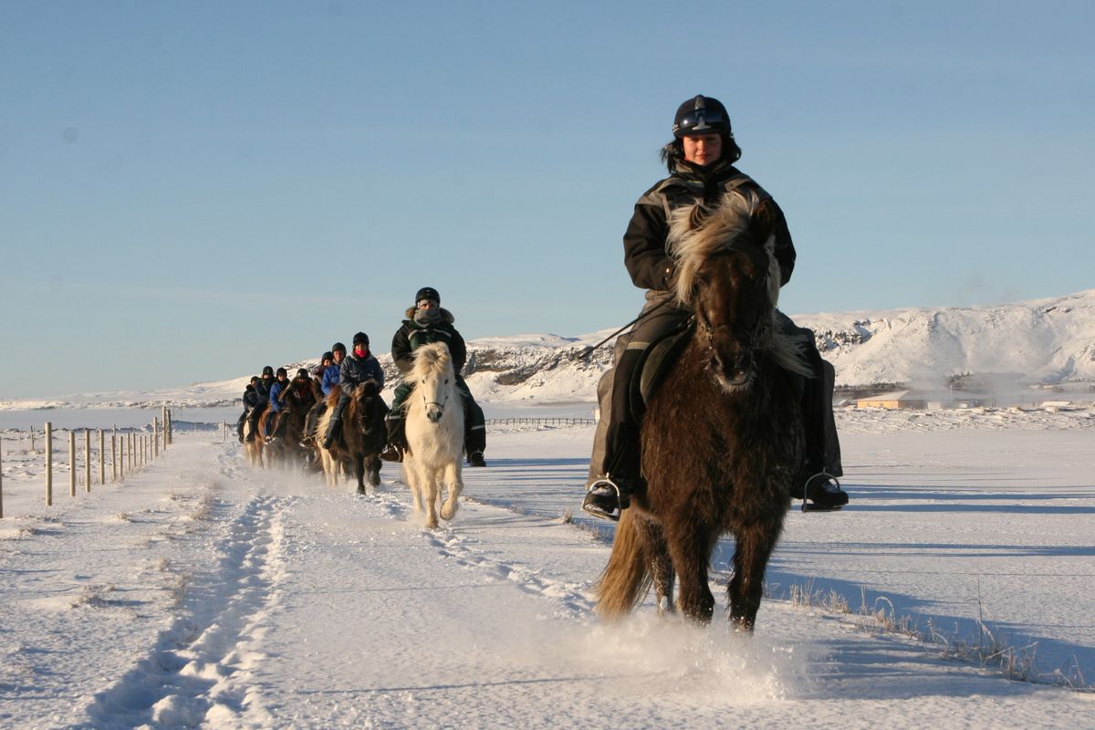 The Siggi Tour, photo 10 of 12