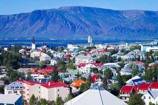 Private Reykjavik City Sightseeing — photo 3