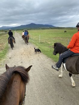 Horse Riding Tour and Explore Scenery in Gásir Akureyri — photo 15