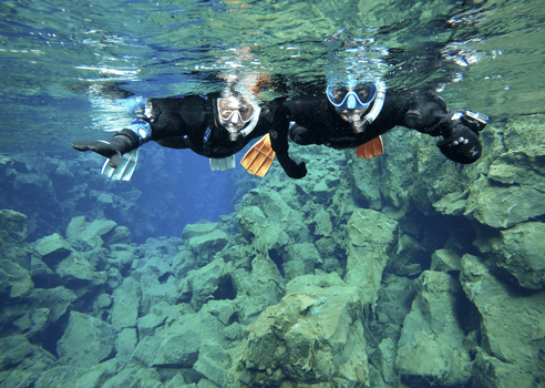 Snorkeling in Silfra -With Transfer from Reykjavík — photo 4