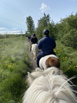 Horse Riding Tour and Explore Scenery in Gásir Akureyri — photo 13