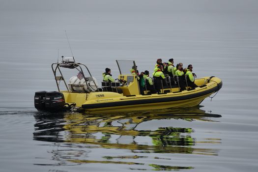 Solar Eclipse by RIB Speedboat from Reykjavík — photo 8