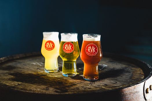 The Private Reykjavik Brewery & Beer Tasting Tour — photo 7