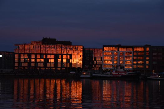 Reykjavík Premium Whales in the Midnight Sun — photo 28