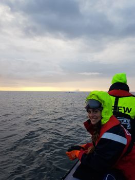 Premium Whales & Midnight Sun — photo 5