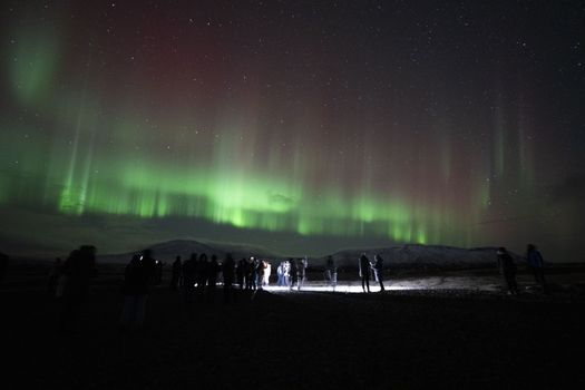 Northern Lights Coach Tour with Live Forecast and English Guide — photo 10