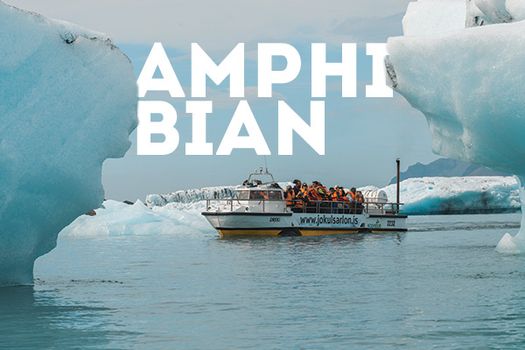 Amphibian Tour - Glacier Lagoon