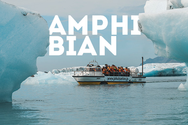 Amphibian Tour - Glacier Lagoon