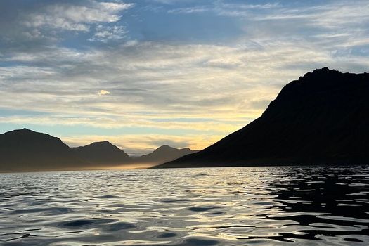 Viking Wildlife RIB Adventure — photo 23