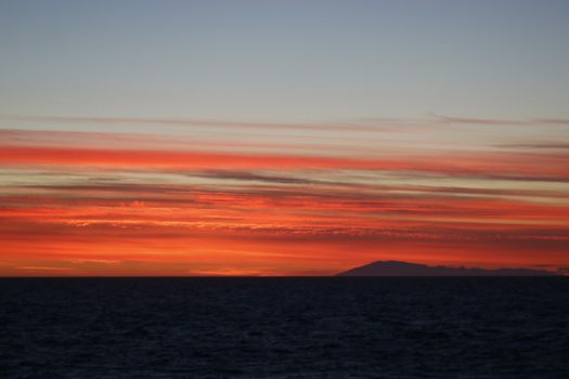 Reykjavík Premium Whales in the Midnight Sun — photo 17
