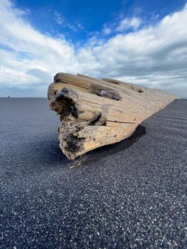 South Coast & Katla Ice cave — photo 14