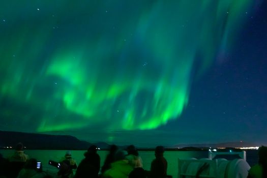 Northern Lights by Boat — photo 9