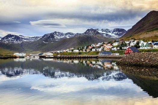 Private Arctic Coastline & Whale Watching