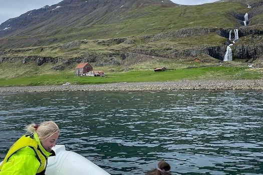 Viking Wildlife RIB Adventure — photo 6
