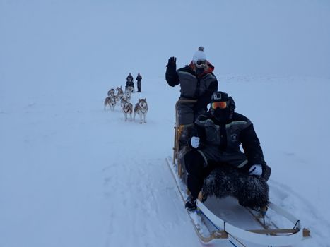 Siberian Husky Dog Sledding — photo 10