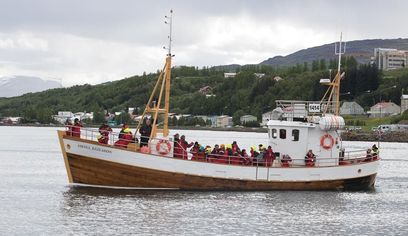 Whale Watching Tour w/ Transfer from Akureyri