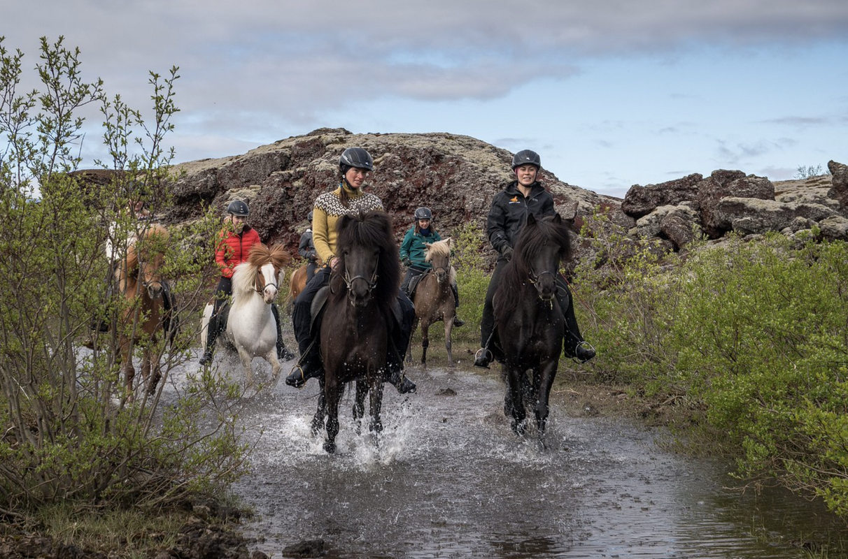 Viking Horses Mjölnir Afternoon Tour, photo 2 of 10