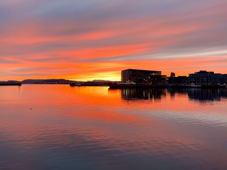 Reykjavík Premium Whales in the Midnight Sun — photo 24