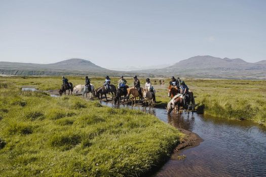 1,5h Trail Ride for All Levels — photo 2