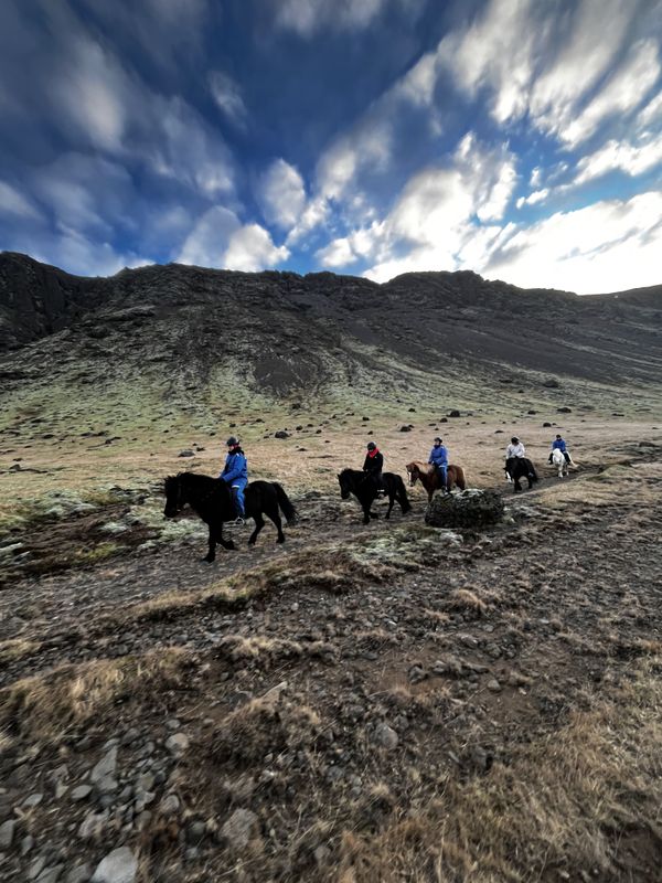 Meadows and Mountains, photo 9 of 9