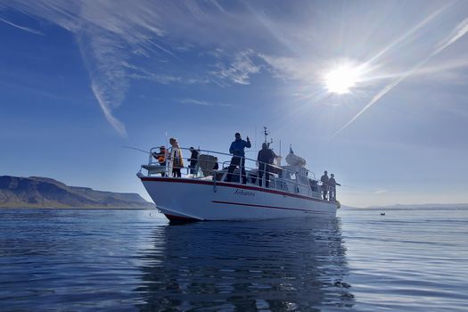 Reykjavík Sea Angling Gourmet — photo 12