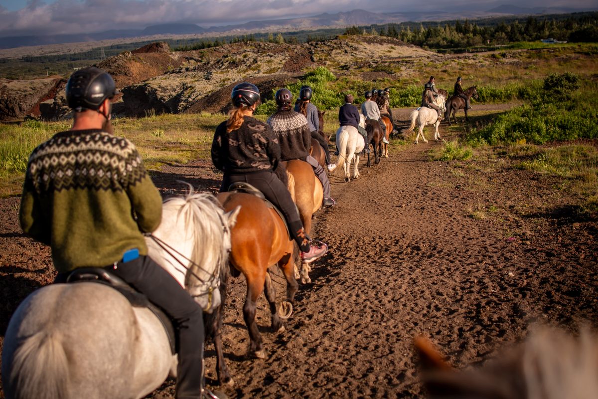 Viking Horses Sleipnir Evening Tour, photo 5 of 10