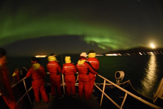Reykjavík Northern Lights & City Cruise — photo 2