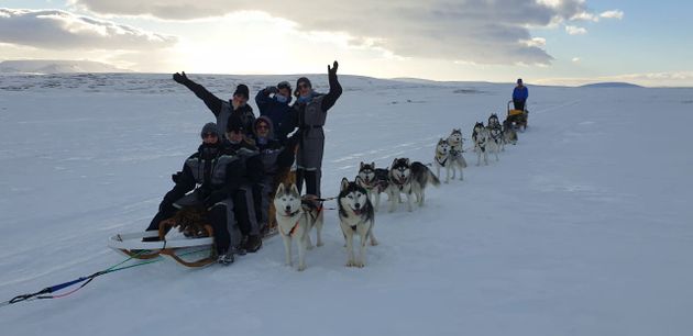 Siberian Husky Dog Sledding — photo 7