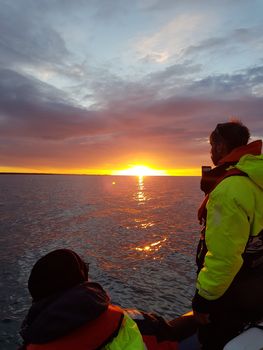 Premium Whales & Midnight Sun — photo 3