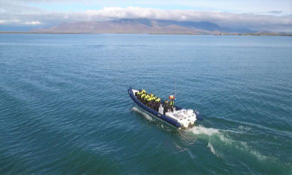 RIB Express - Whale Whatching- from Downtown Reykjavik — photo 12