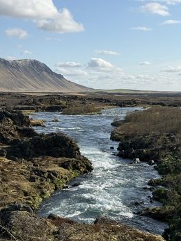 Private Fly Fishing Day Tour for Big Brown Trout - West Rangá Trout Beat — photo 21