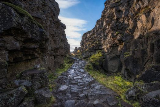 Golden Circle Private Tour & Fridheimar Farm Visit from Reykjavik — photo 16