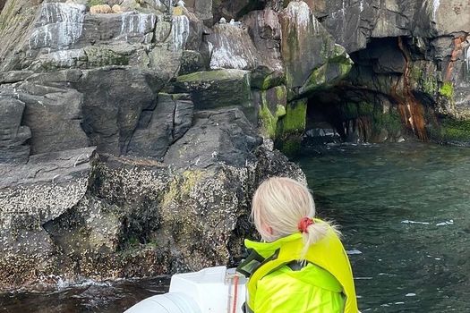 Viking Wildlife RIB Adventure — photo 8