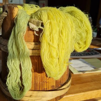 Experience the Settlement Period Farm of Eirik the Red and Leif Eiriksson — photo 5