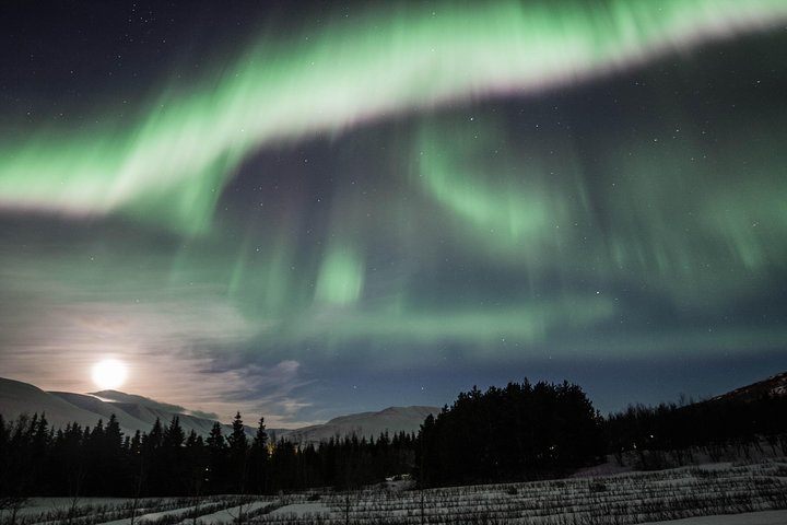 (RS) Northern Lights Classic Tour from Akureyri