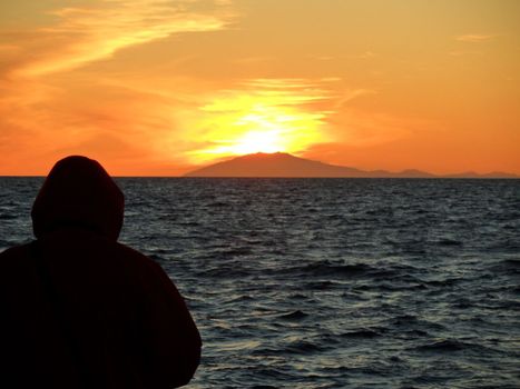 Reykjavík Classic Whales in the Midnight Sun — photo 17