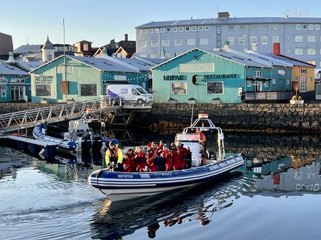 Reykjavík Premium Whale Watching — photo 28