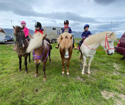 Horse Riding Tour and Explore Scenery in Gásir Akureyri — photo 6
